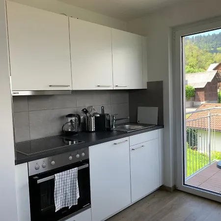 Bellevue Apartment *